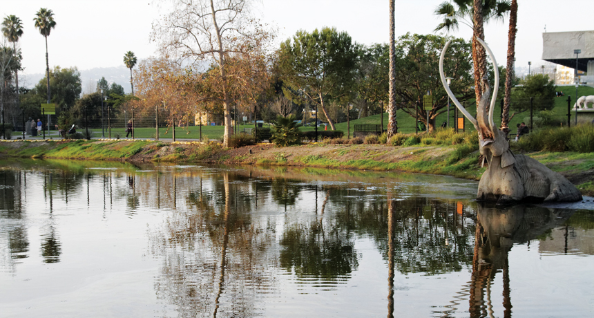 La Brea Tar Pits