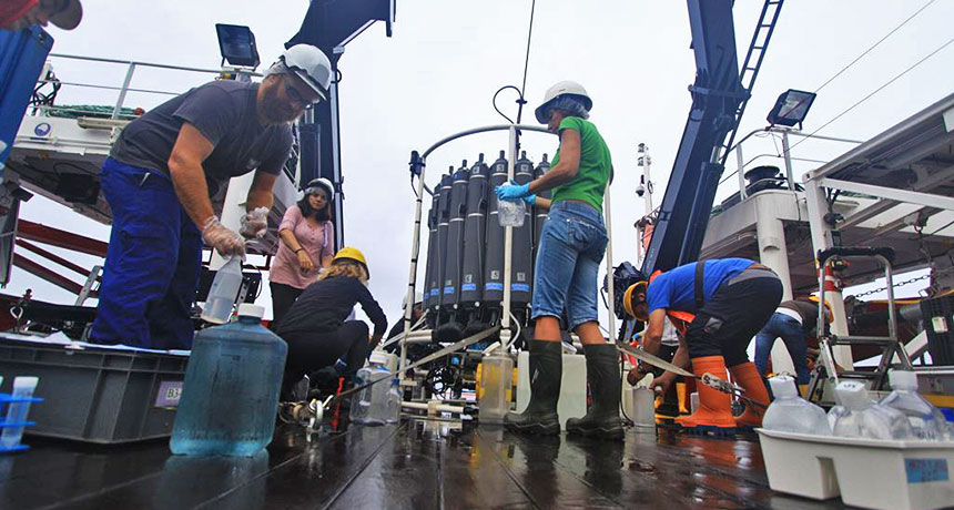 ocean water samples