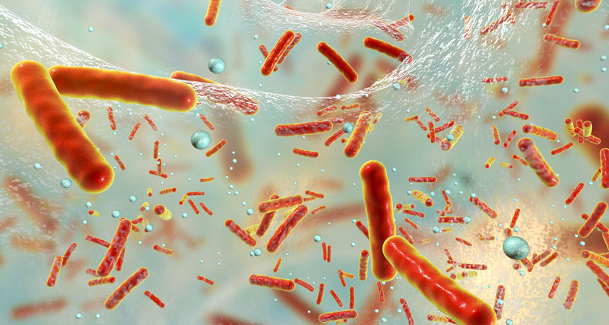 illustration of biofilm