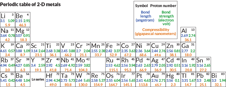 phylogeny