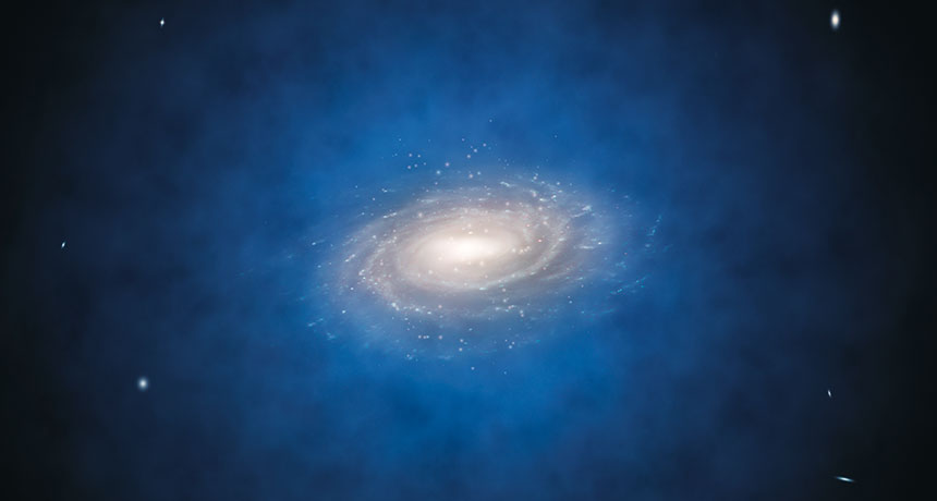 Dark matter and cosmic web story