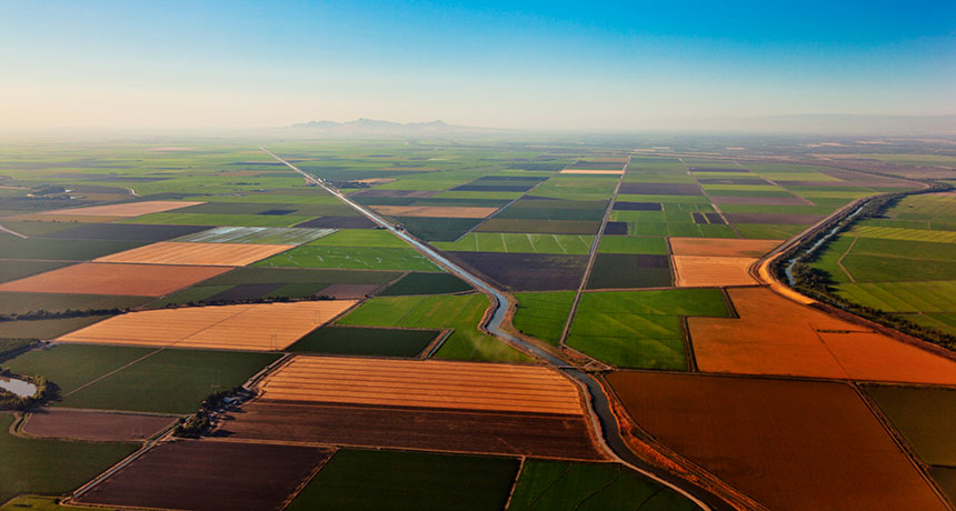 agricultural fields