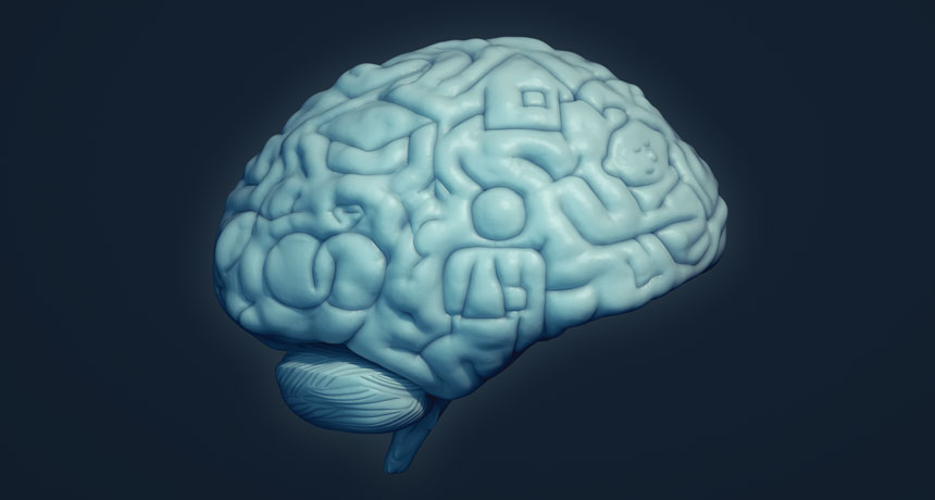 brain illustration