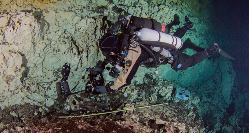 scuba diver