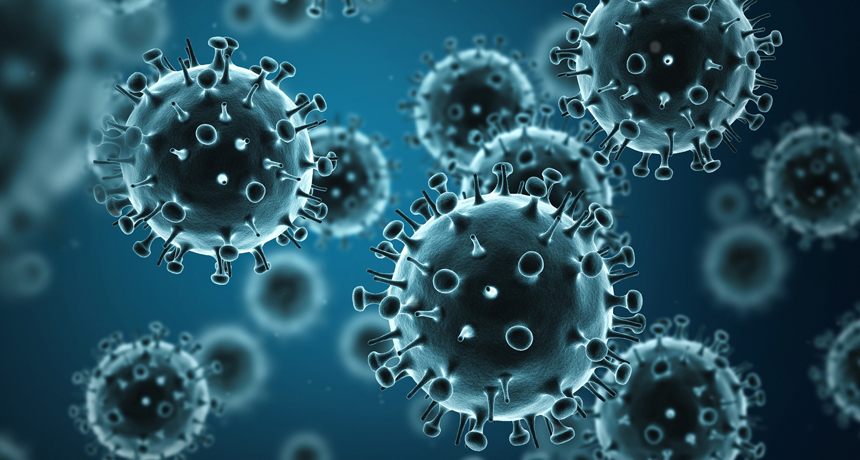 flu viruses