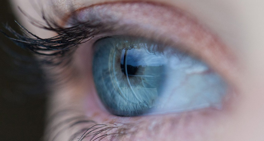 close-up of an eye