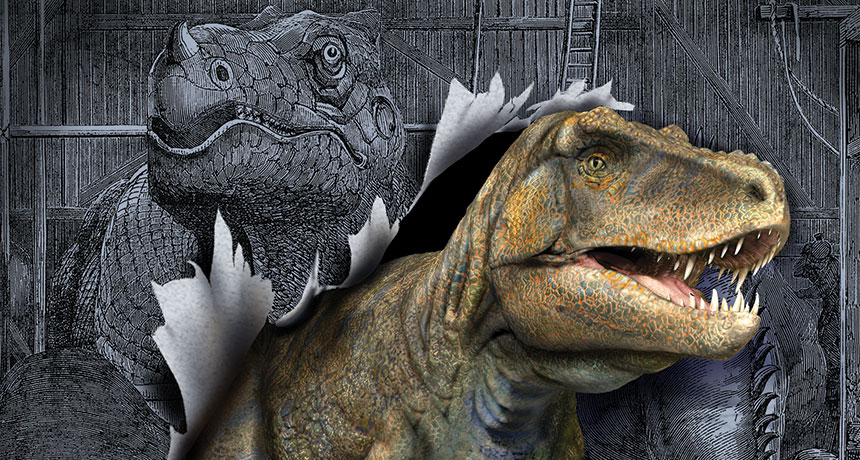 dino illustration