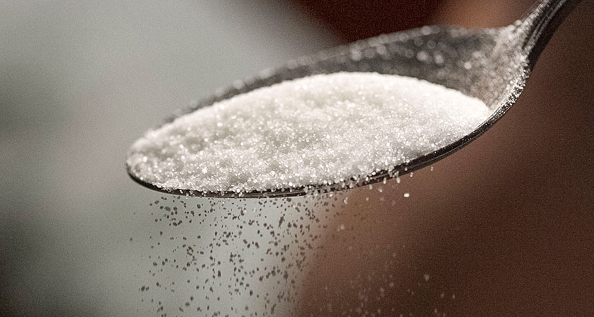 sugar spoon