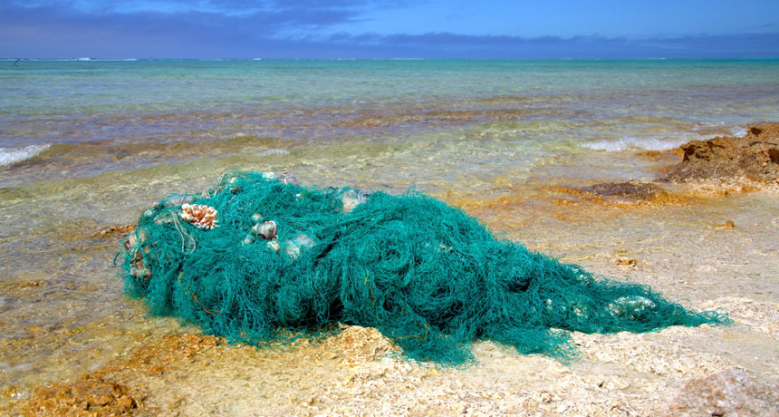 fishing net washed ashore