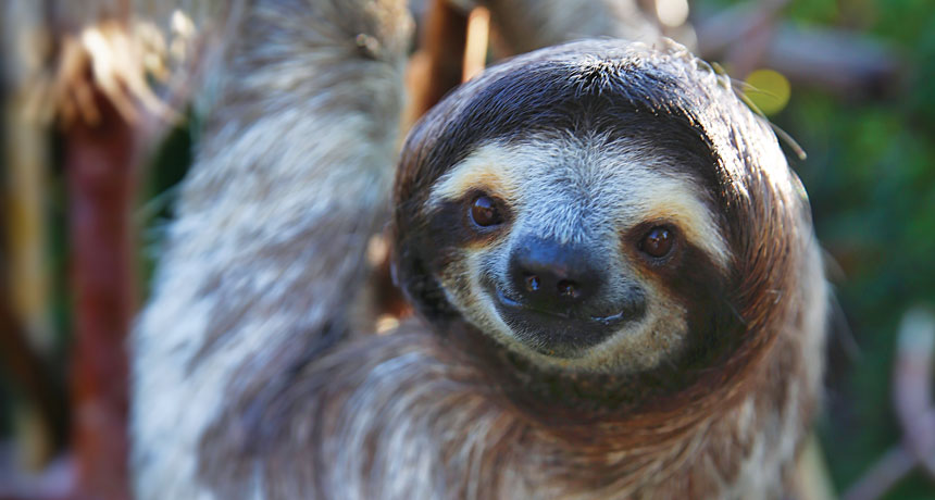 The truth about animals isn't always pretty The truth about animals isn't always pretty
