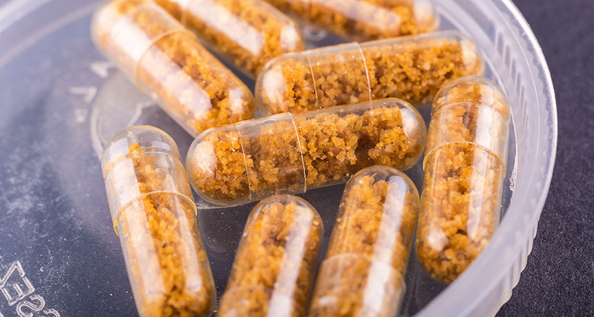 photo illustration of fecal microbiome pills