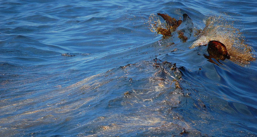 oil spill