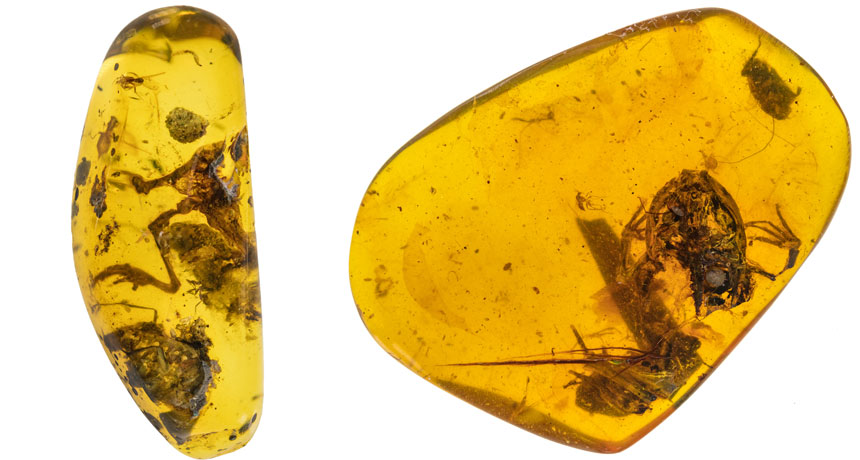 amber