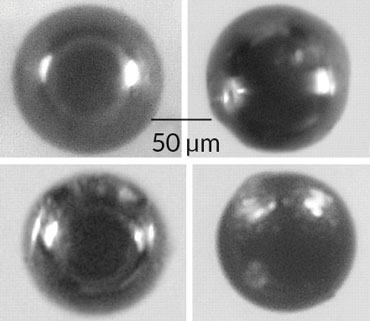 microspherules