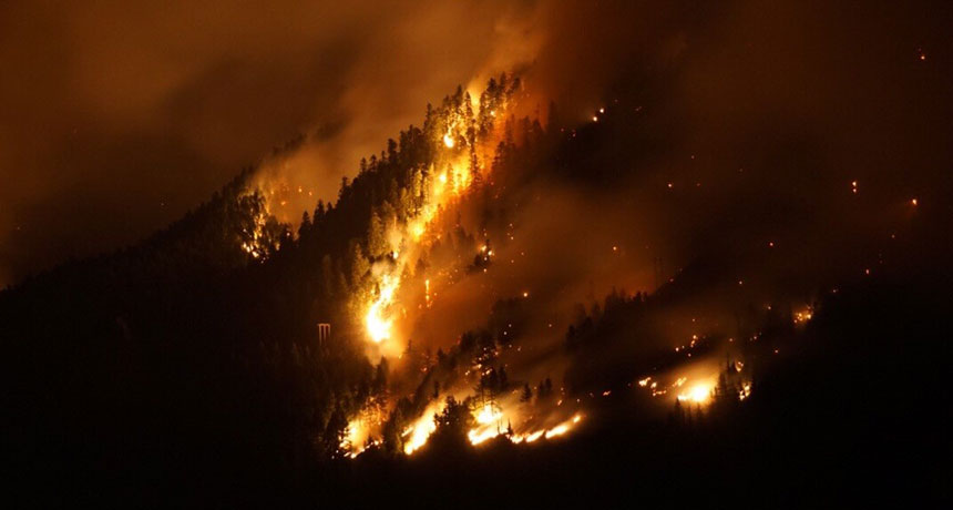 wildfire