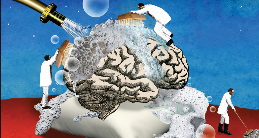 brain cleaning illustration