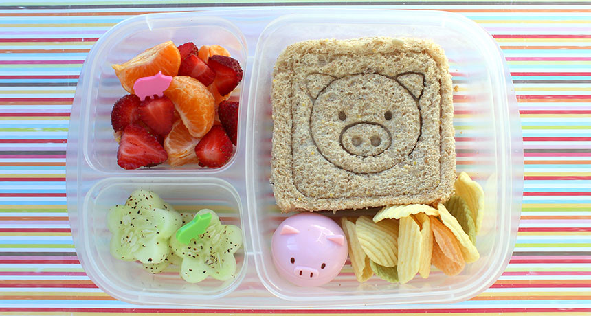 plastic lunch container