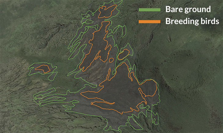 a map showing where the breeding birds are located in relation to bare ground