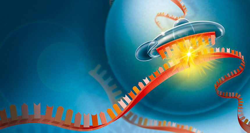 illustration of RNA