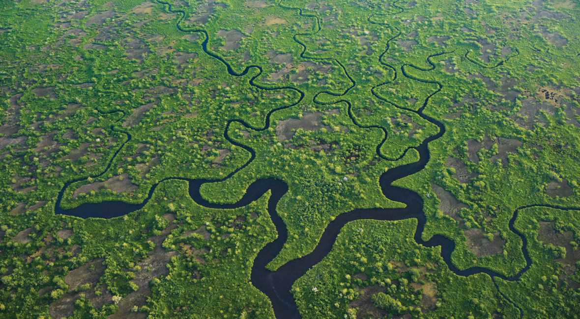 Everglades from above