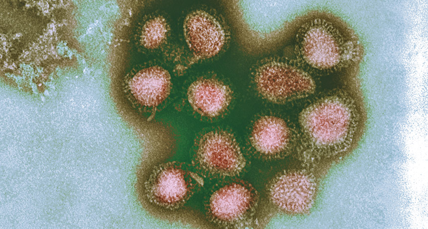 1968 Hong Kong pandemic flu strain