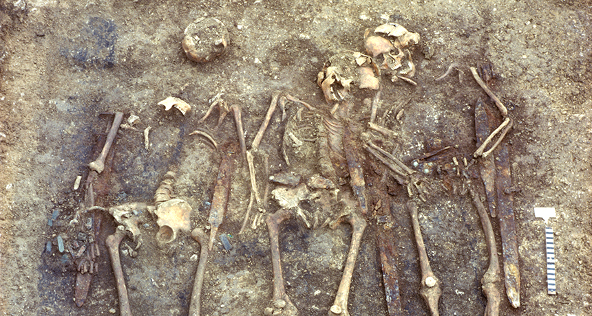 skeletons