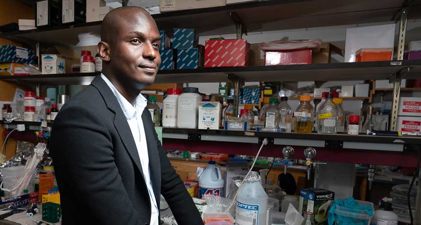 Ibrahim Cissé