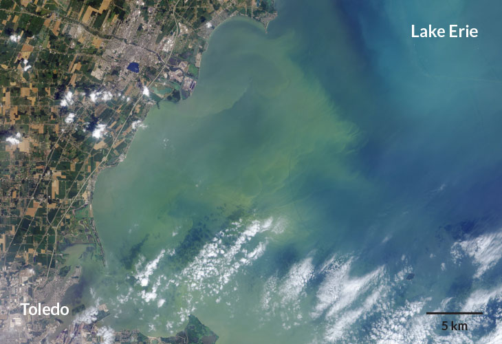 an aerial image of an algal bloom in Lake Erie from 2014
