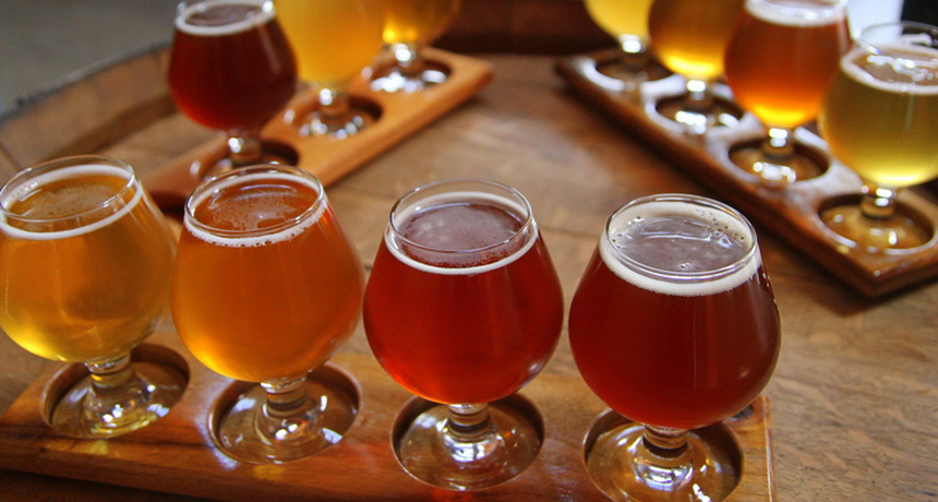 beer