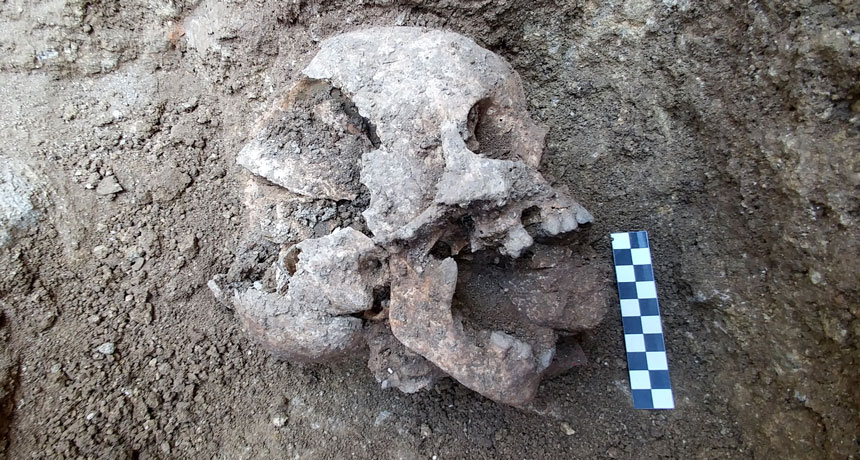 skull from Roman cemetery