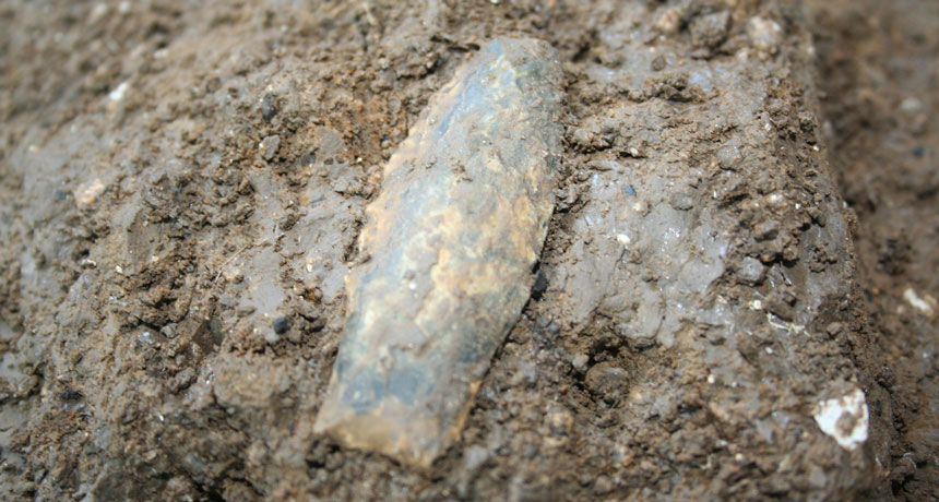 ancient spearpoint