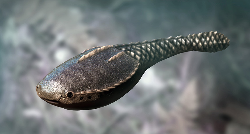 The first vertebrates on Earth arose in shallow coastal waters