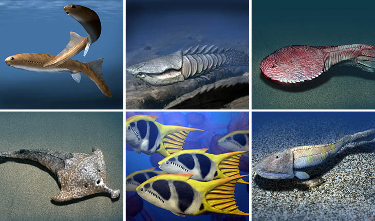 first vertebrates