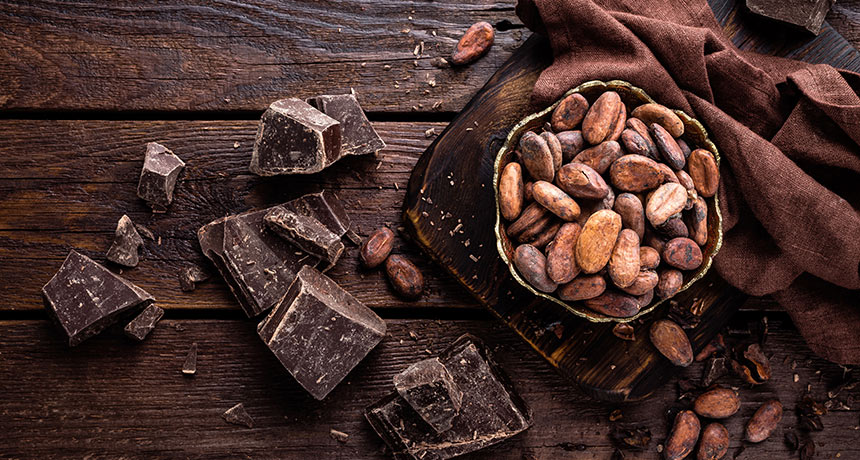 cacao beans