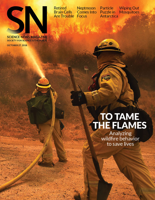 cover of October 27, 2018 issue