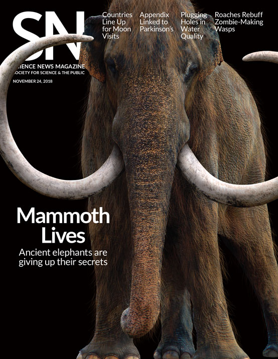 Cover of November 24, 2018 issue