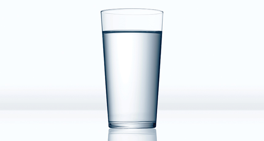 a photo of a glass of water agains a white background
