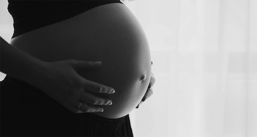 pregnant belly