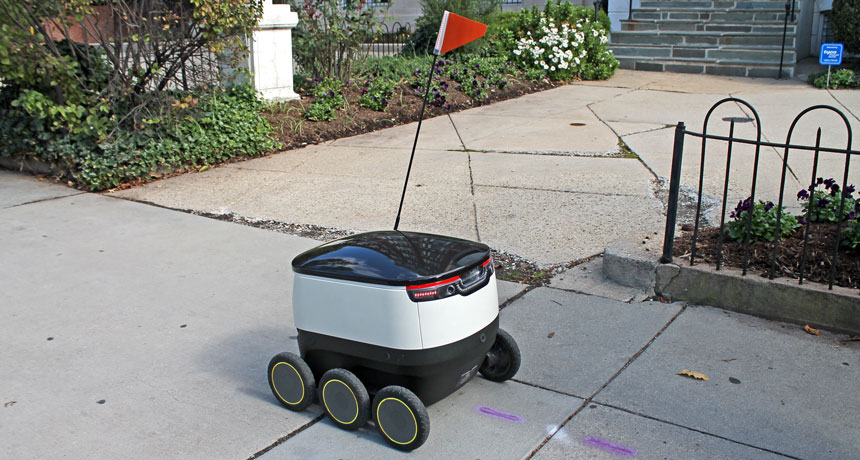 delivery bot