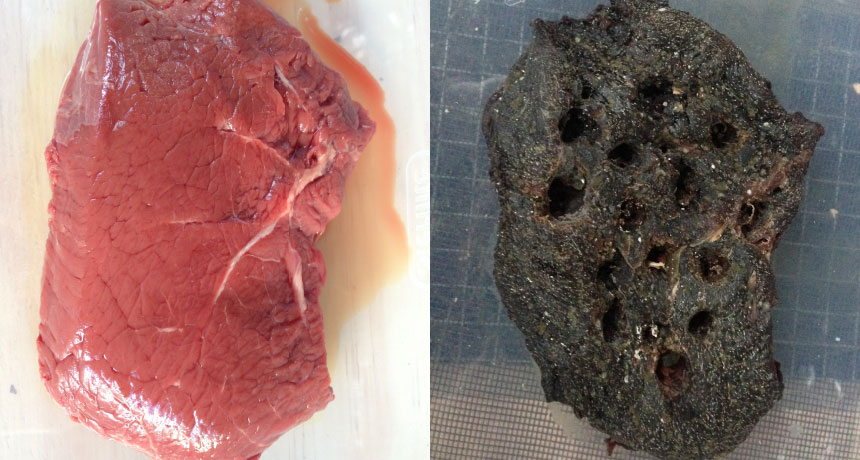 a composite photo showing steak before and after rotting