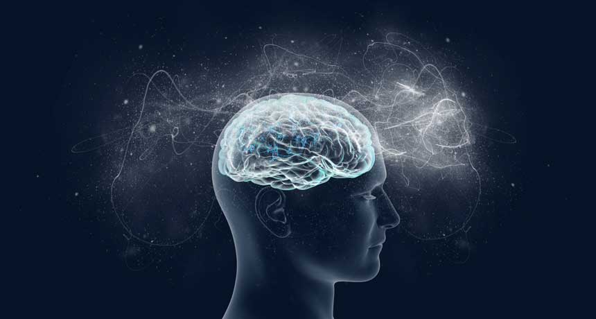 Brain scans uncover a key sign of consciousness | Science News