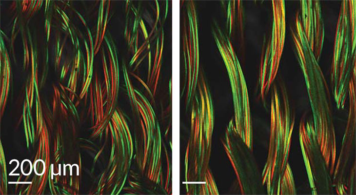 fabric fibers