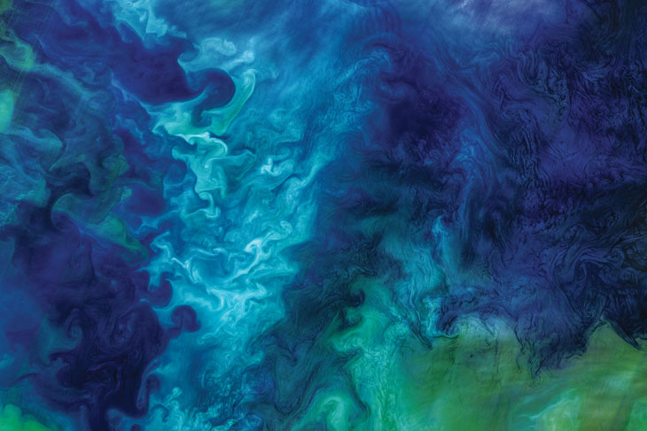 a photo showing green and blue swirls of color as a result of spring blooms of phytoplankton 