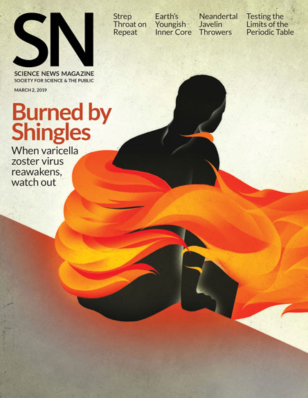 cover of March 2, 2019 issue