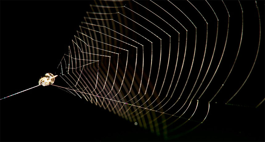 slingshot spider