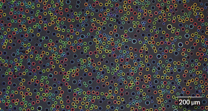 microscopic water droplets showing iridescent rings of colored light