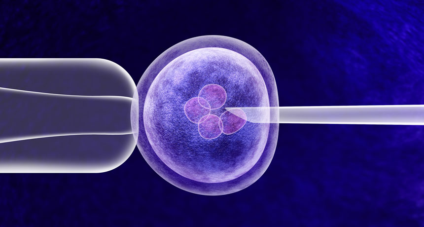 an illustration showing in vitro fertilization