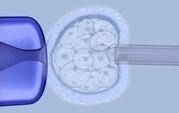 a photo of a cell being removed from an early embryo