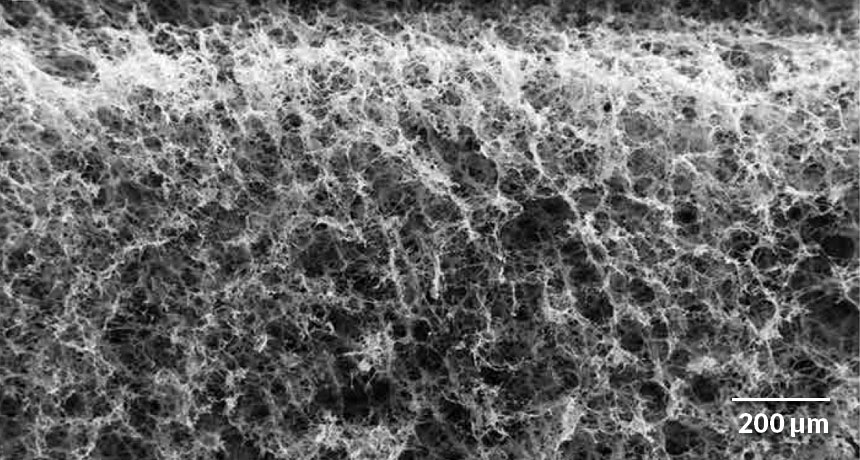 graphene-based foam