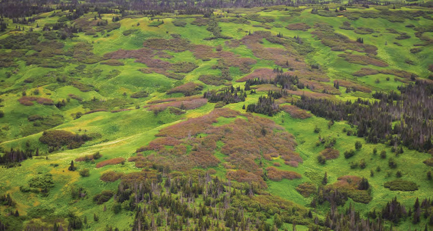 Alaska landscape